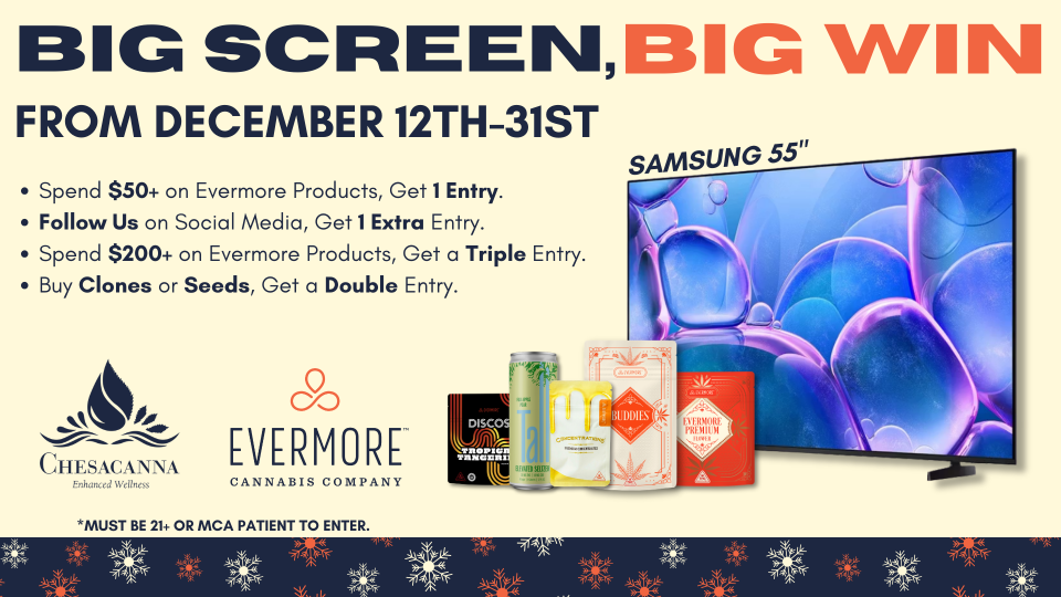 chesa-email chesa-email