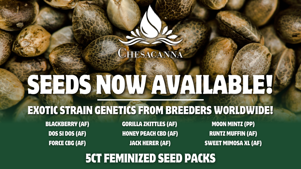 seedsnowavailable_flyer-1920-x-1080-px